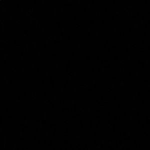 Meet your Posher, Gracee